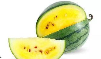 吃瓜娱乐素材哪里找